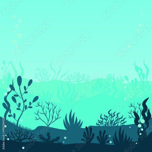 seabed with algae and underwater plants. underwater world at depth.