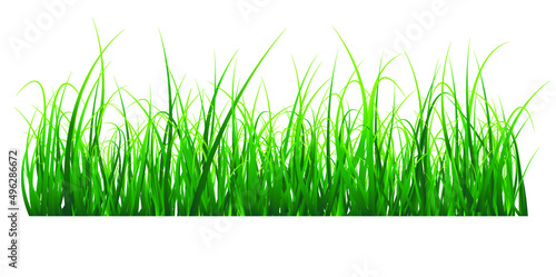 green juicy spring grass background