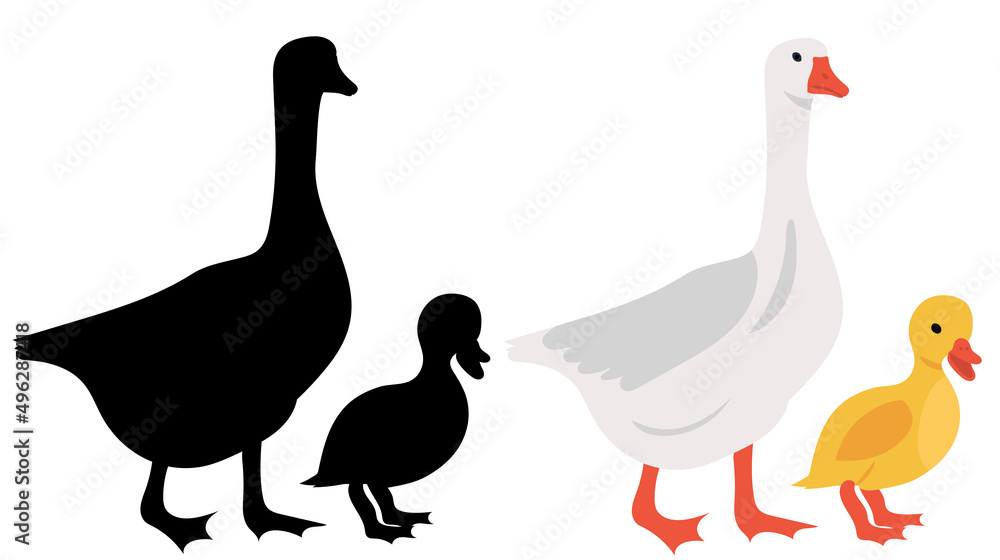 goose and gosling silhouette on white background isolated goose and gosling silhouette on white background isolated