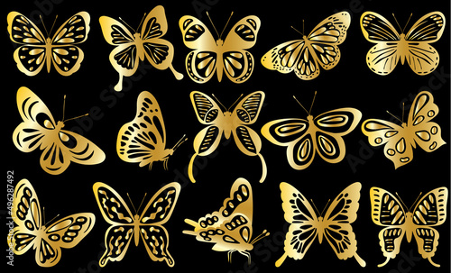 butterfly golden silhouette on black background isolated vector