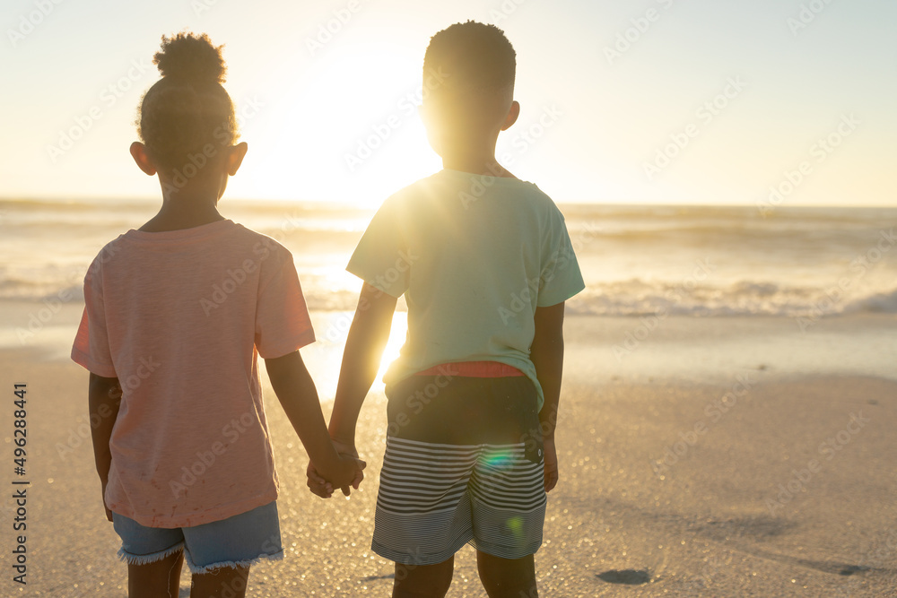 Fototapeta premium Rear view of african american siblings holding hands while watching sunset over sea from beach