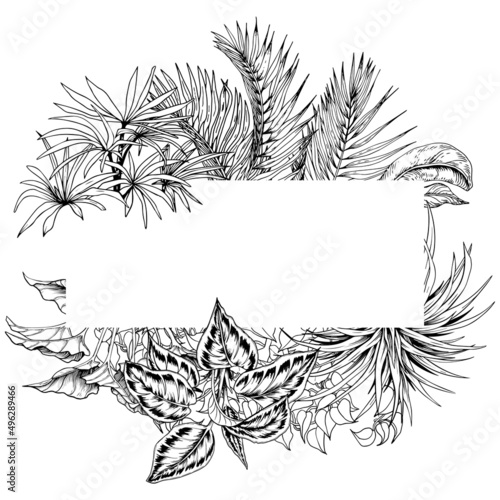 Tropical palm leaves frame. Black and white hand drawn vector illustration.