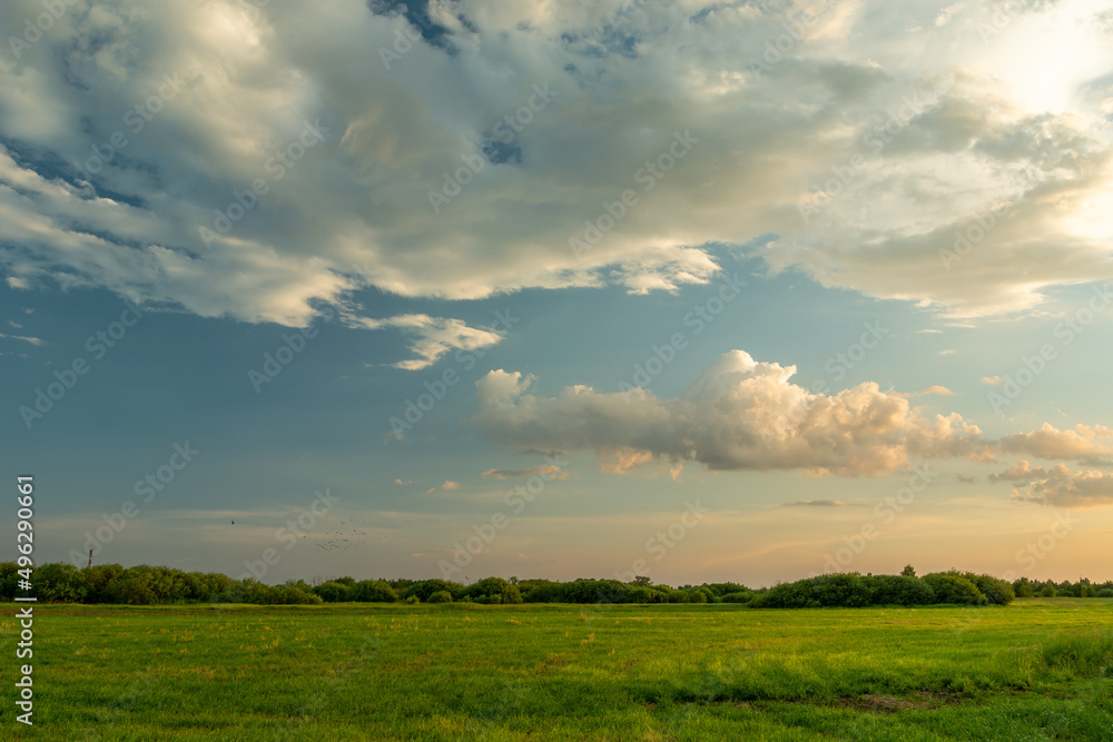 White evening clouds over the green meadow, Nowiny, Poland White evening clouds over the green meadow, Nowiny, Poland
