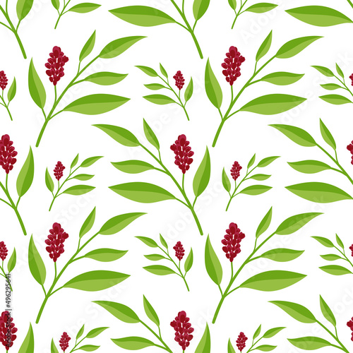 Sandalwood. A branch with leaves and flowers. Seamless background.