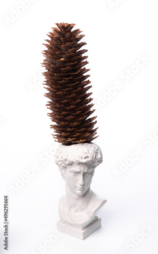 David bust vase with pine cone isolated on white background photo