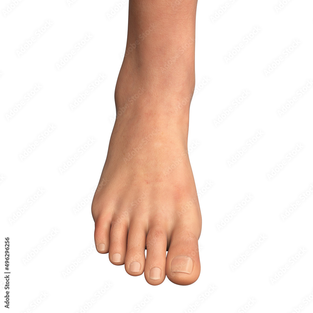 Human middle age female foot isolated on white background Human middle age female foot isolated on white background