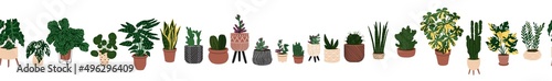 Seamless border with room plants in the pots. Web or Interior design. Modern Home plants. Flat style in Vector illustration. Isolated on transparent background.
