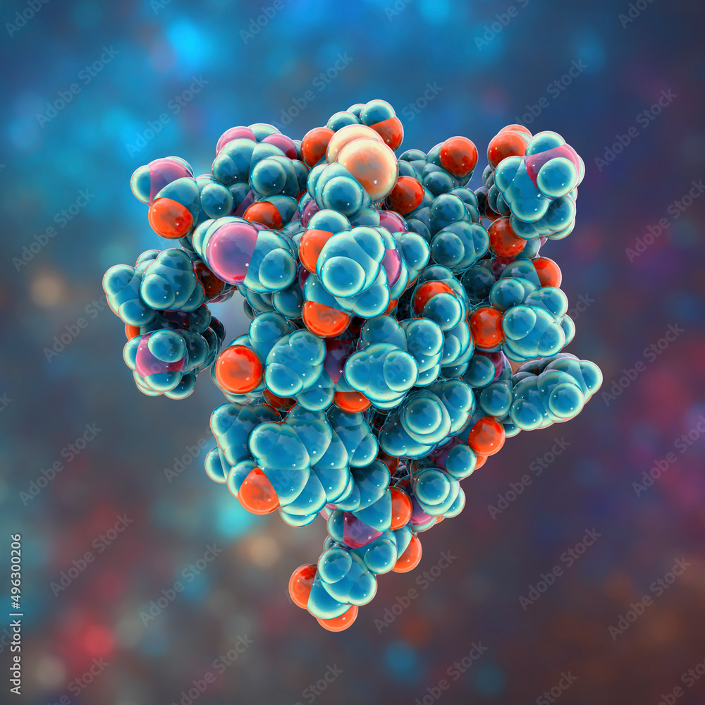 Insulin molecule, 3D illustration