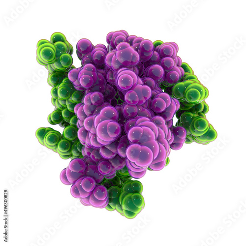 Insulin molecule, 3D illustration photo
