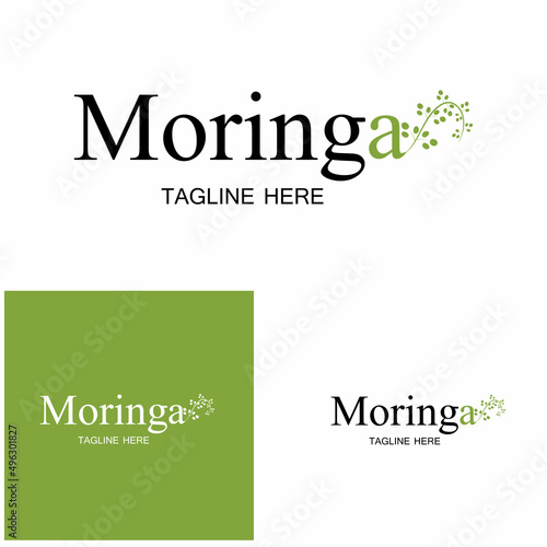 Moringa leaf logo illustration vector design