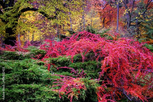 Jesienne kolory w parku