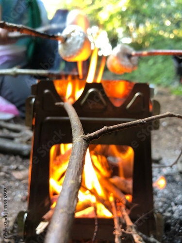 marshmallow over the fire 