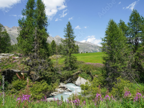 Val Fex in Summer, Engadine, Swiss Alps