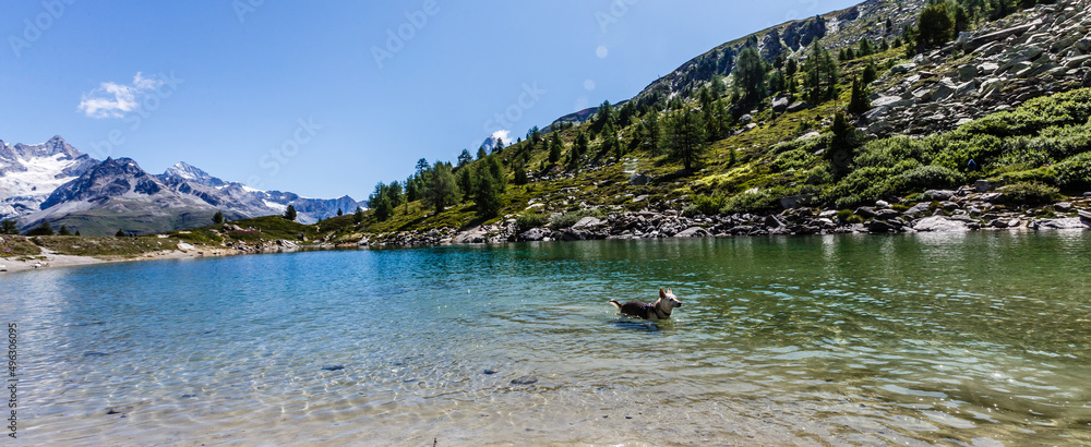 the mountains of switzerland, the view of the Alps the mountains of switzerland, the view of the Alps