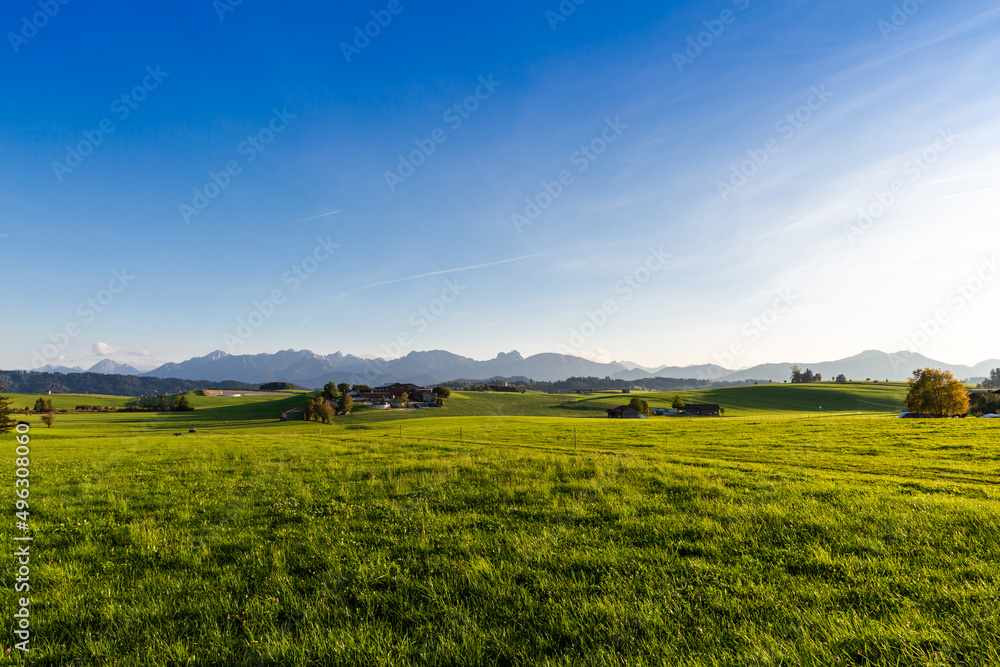 Panoramic view of beautiful sunny landscape in the Alps with fresh green meadows
field in the front and mountain tops in the background with blue sky and clouds, bavaria, allgäu,seeg