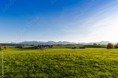 Panoramic view of beautiful sunny landscape in the Alps with fresh green meadows field in the front and mountain tops in the background with blue sky and clouds, bavaria, allgäu,seeg