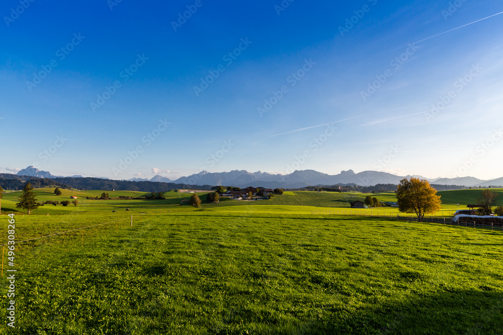 Fototapeta premium Panoramic view of beautiful sunny landscape in the Alps with fresh green meadows field in the front and mountain tops in the background with blue sky and clouds, bavaria, allgäu,seeg
