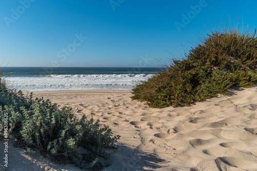 Fototapeta Naklejka Na Ścianę i Meble -  Landscape of Furadouro beach with vegetation in the dunes. Ovar, Portugal.
