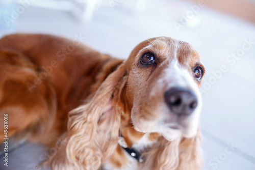 Coker in primo piano  guarda verso l'alto 