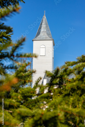 Vertical view to white church tower with metal roof through green spruce branches.  Lutheran church steeple at Kärdla, Hiiumaa, Estonia. Church tower, blue sky and Picea evergreen branches. 