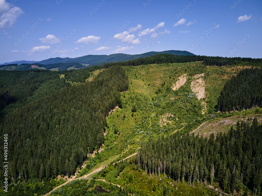 Aerial view of the mountain dirt road and forest in spring, Carpathian mountains, Ukraine, Colorful landscape with hills with green grass and trees, Nature background