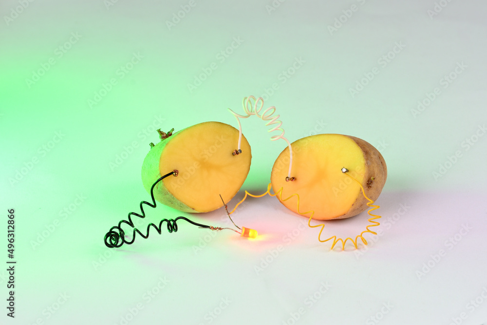 Potato battery on white background.  Alternative green energy generated from potatoes.  - obrazy, fototapety, plakaty 