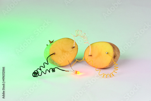 Potato battery on white background.  Alternative green energy generated from potatoes. 