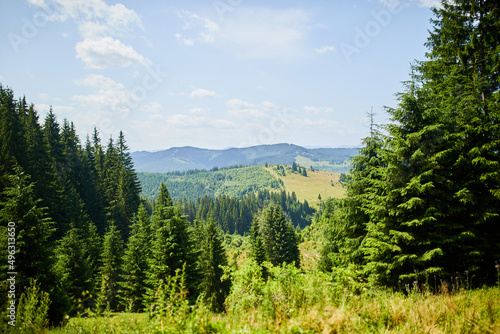 Beautiful mountain and forest in spring, Carpathian mountains, Ukraine, Colorful landscape with hills with green grass and trees, Nature background