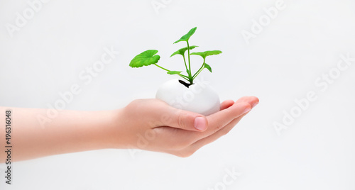 nowe życie. Ochrona środowiska. Roślina rosnąca w jajku w dłoni młodej osoby. Dzień Ziemi.