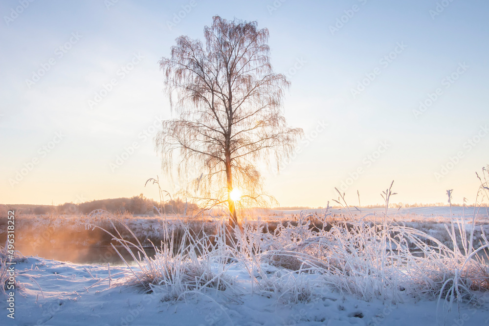 Beautiful winter landscape of nature. Early sunrise over foggy river. Meadow covered snow and dry grass. Sunray through branches of a lonely tree.