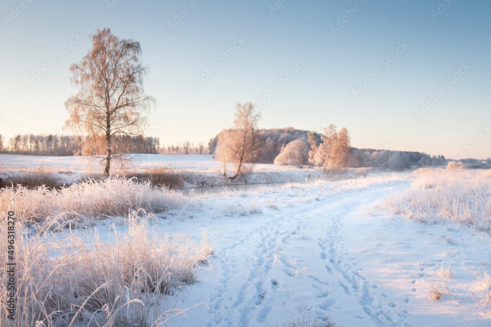 Scenery winter of early morning on a rural road along the river. Land, trees, dry grass covered white snow. Mist over river without ice.