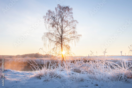 Obraz na płótnie Beautiful winter landscape of nature. Early sunrise over foggy river. Meadow covered snow and dry grass. Sunray through branches of a lonely tree. w salonie