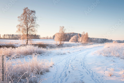 Obraz na płótnie Scenery winter of early morning on a rural road along the river. Land, trees, dry grass covered white snow. Mist over river without ice. w salonie