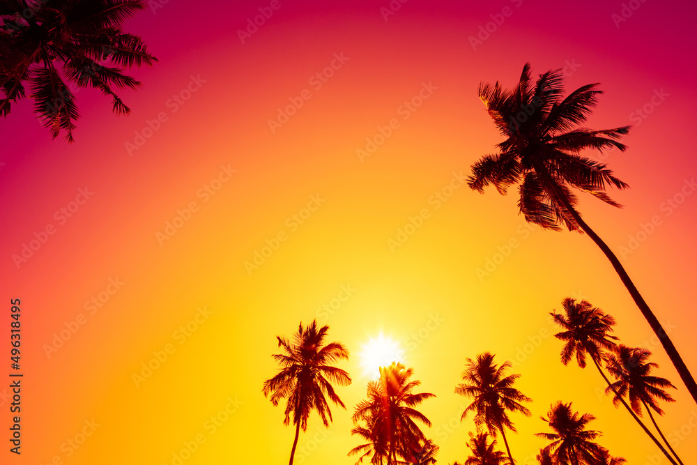 Tropical coconut palm trees silhouettes on beach at sunset with clear sky and shining sun
