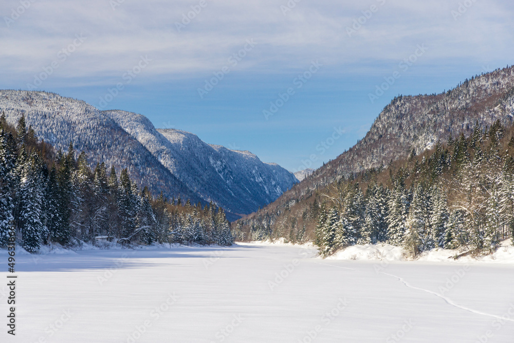 Naklejka premium Parc de la Jacques Cartier in Winter