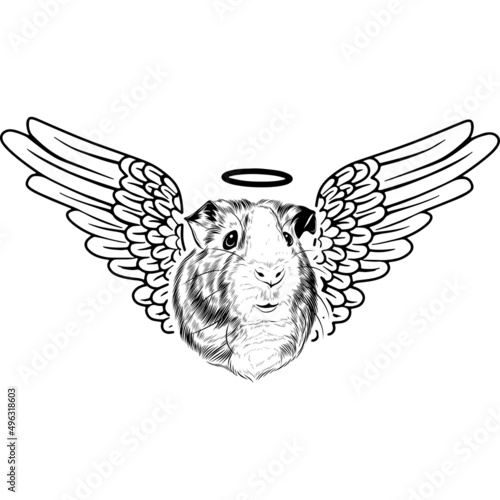 Guinea Pig with Wings and Halo Vector