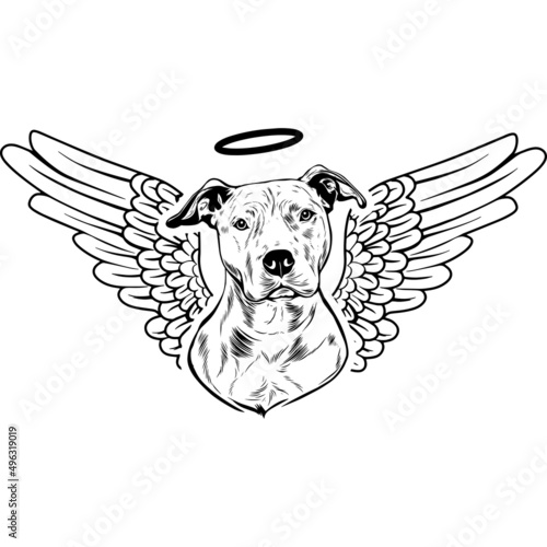 American Pit Bull Terrier with Wings and Halo Vector