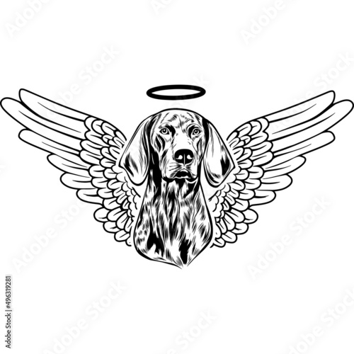 German Shorthair Pointer with Wings and Halo Vector