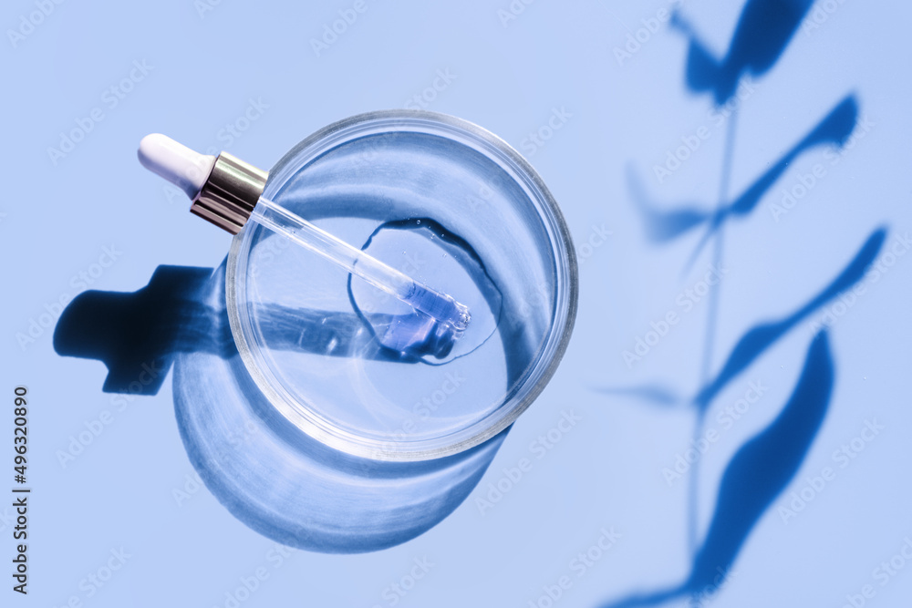 Laboratory glass petri with pipette and drop of water, serum, oil, beauty product. Natural medicine, cosmetic research, bio science. Concept of skincare and analysis. Dermatology. Flat lay, top view