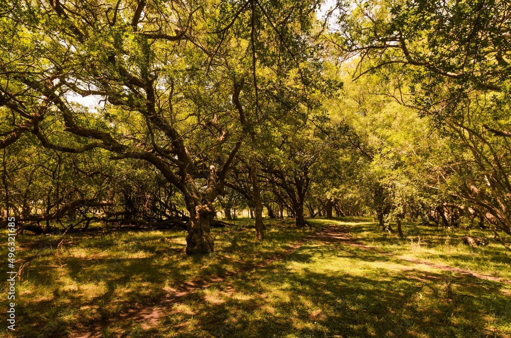 Fototapeta premium Nahuel Ruca, Buenos Aires, Argentina.