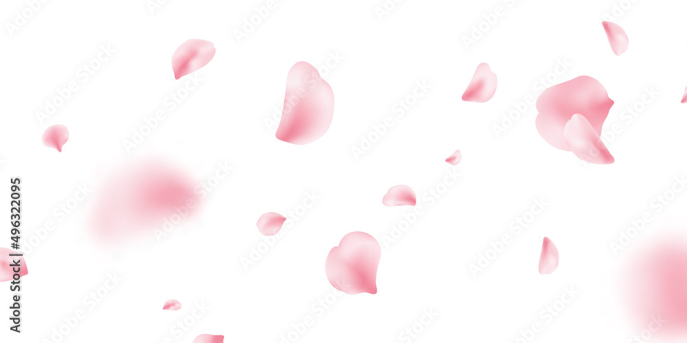 Sakura petal spring blossom on white banner. Flower flying background. Pink rose composition. Beauty Spa product frame. Valentine romantic card. Light delicate pastel design. Vector illustration - obrazy, fototapety, plakaty 