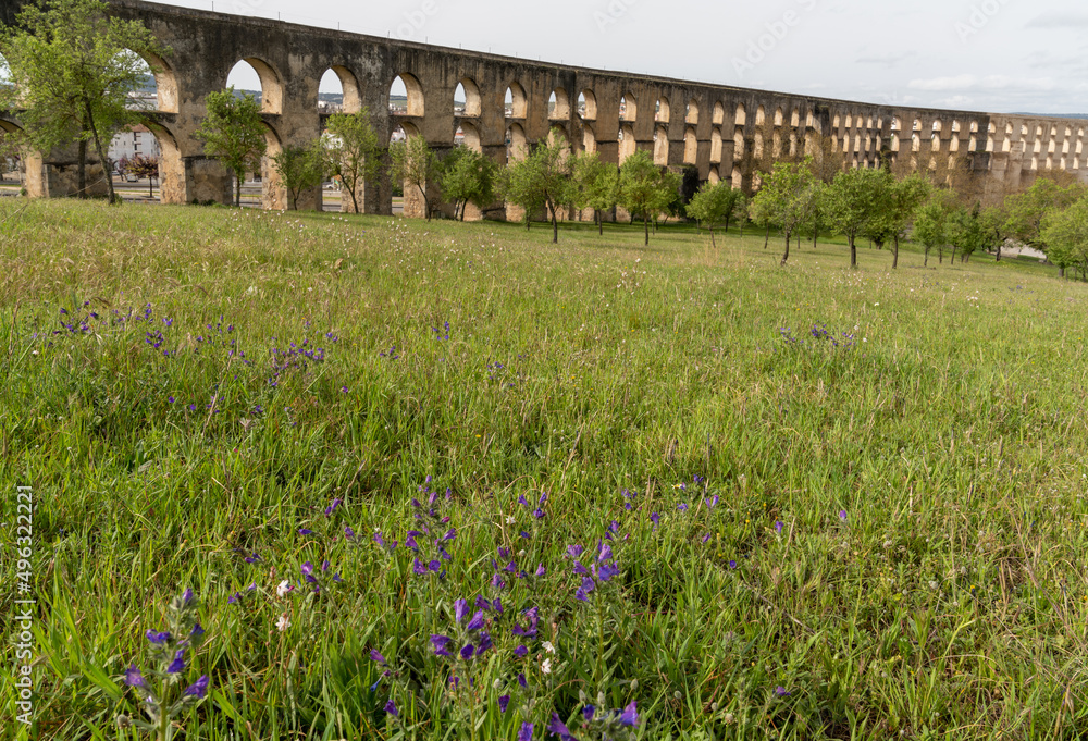 view of the historic landmark Amoreira Aqueduct in Elvas with a wildflower meadow in the foreground