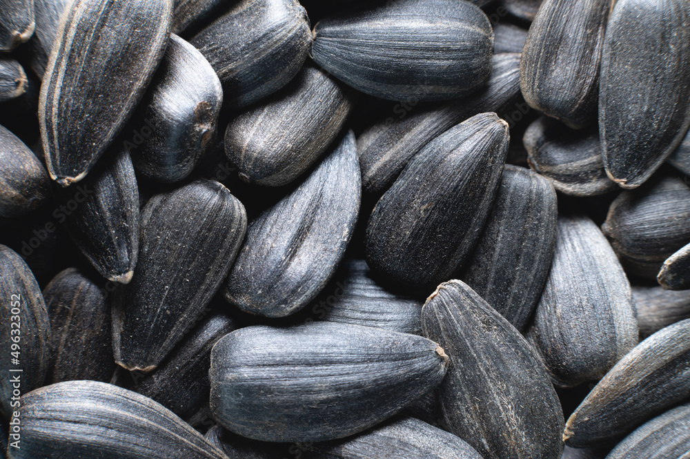 Close-up of sunflower seeds in shallow depth of field macro shot. snack food background Close-up of sunflower seeds in shallow depth of field macro shot. snack food background