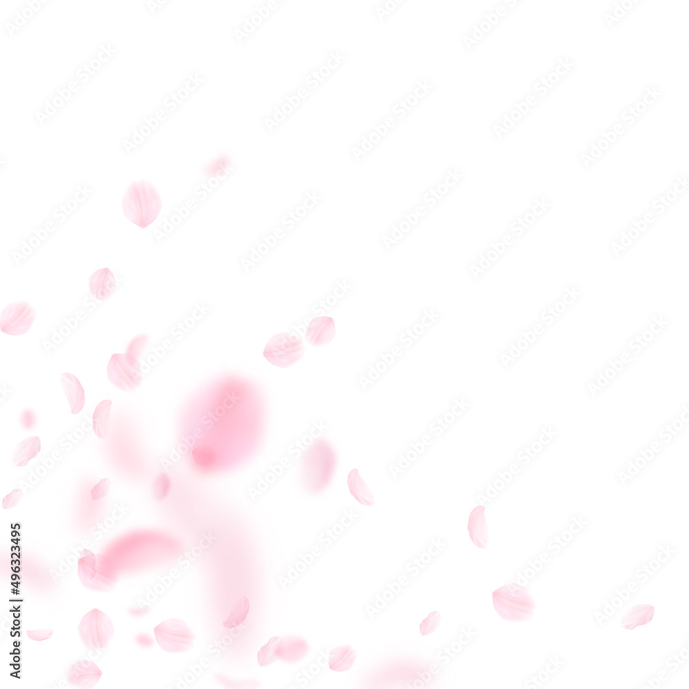 Sakura petals falling down. Romantic pink flowers corner. Flying petals on white square background. Love, romance concept. Appealing wedding invitation.