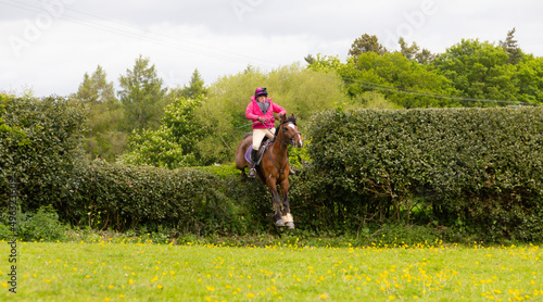 Up and over, young woman and her horse jump large hedge in Shropshire countryside, a scary but exciting experience for the rider.