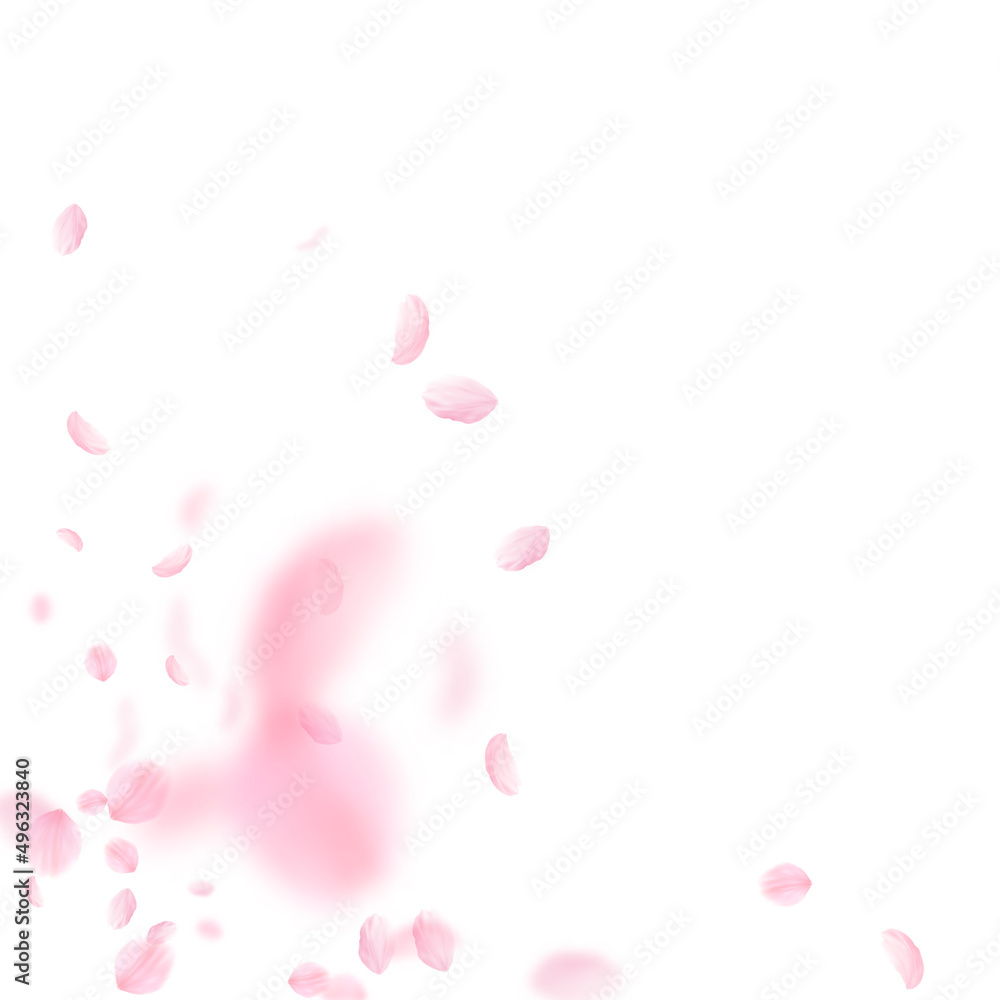Sakura petals falling down. Romantic pink flowers corner. Flying petals on white square background. Love, romance concept. Astonishing wedding invitation. Sakura petals falling down. Romantic pink flowers corner. Flying petals on white square background. Love, romance concept. Astonishing wedding invitation.