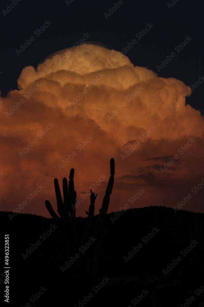 silhouette of a person silhouette of a person