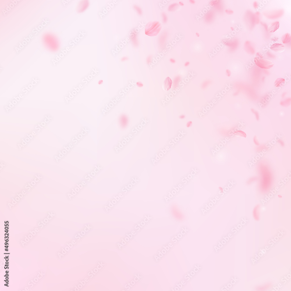 Sakura petals falling down. Romantic pink flowers corner. Flying petals on pink square background. Love, romance concept. Cool wedding invitation.