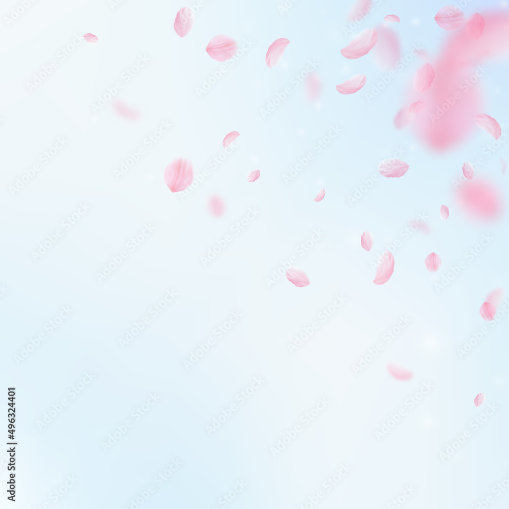 Sakura petals falling down. Romantic pink flowers corner. Flying petals on blue sky square background. Love, romance concept. Authentic wedding invitation.