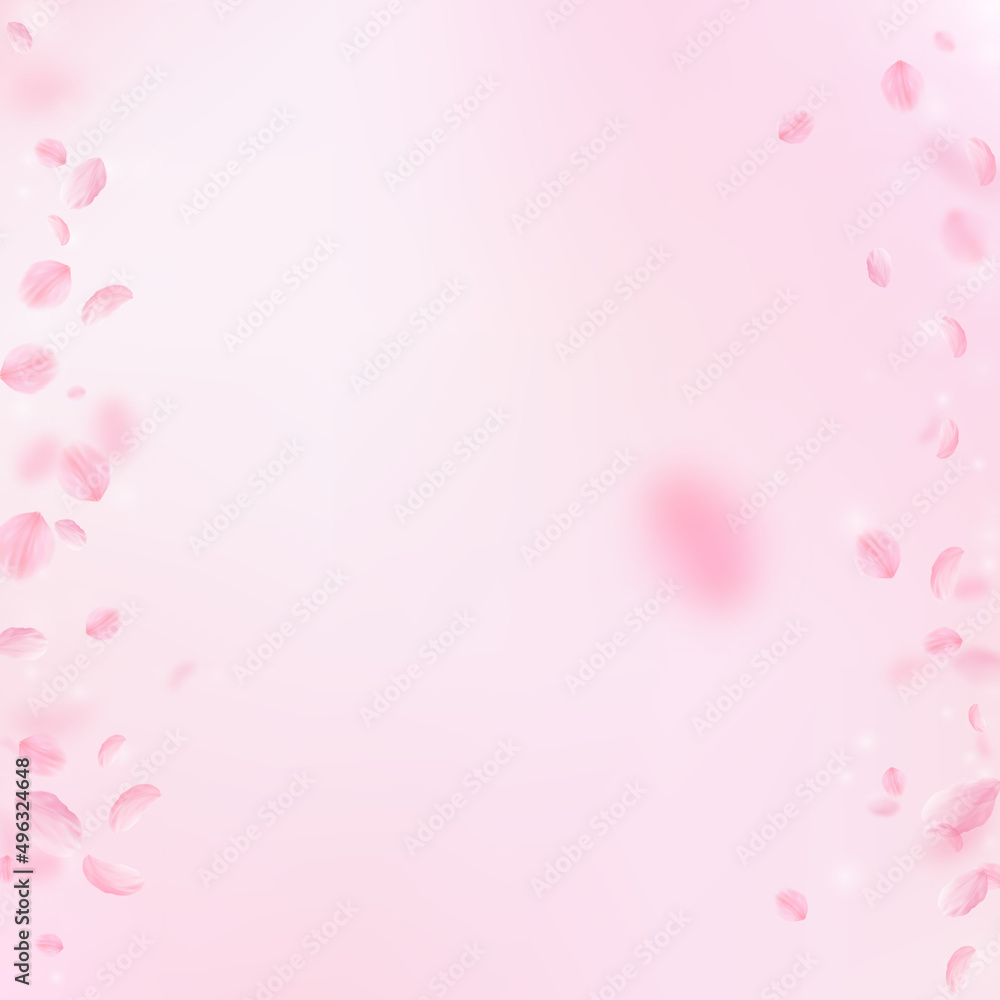 Sakura petals falling down. Romantic pink flowers borders. Flying petals on pink square background. Love, romance concept. Positive wedding invitation.